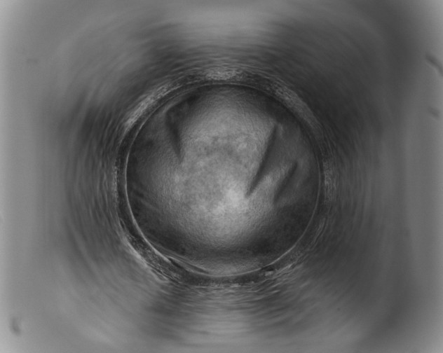 X0000099450626200805231742