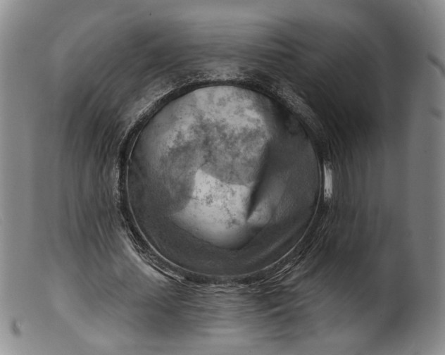 X0000099450627200805231742