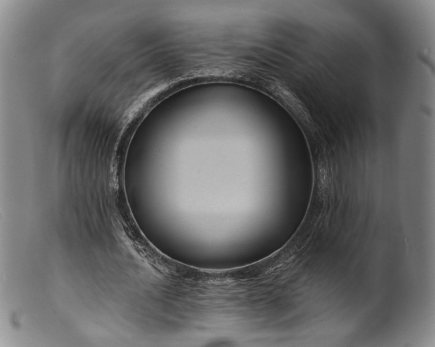 X0000099450628200805231742