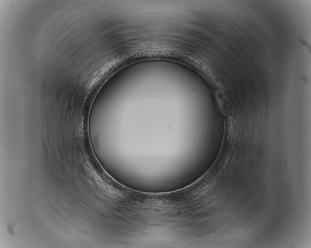 X0000099450629200805231742