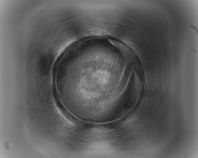 X0000099450630200805231742