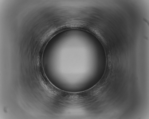 X0000099450631200805231742