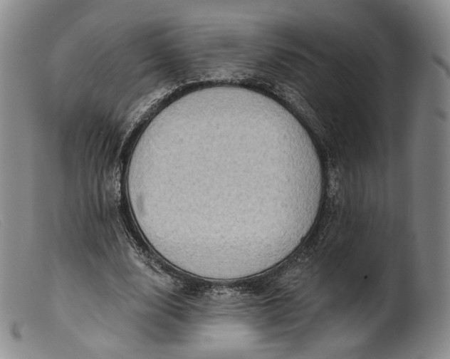 X0000099450632200805231742