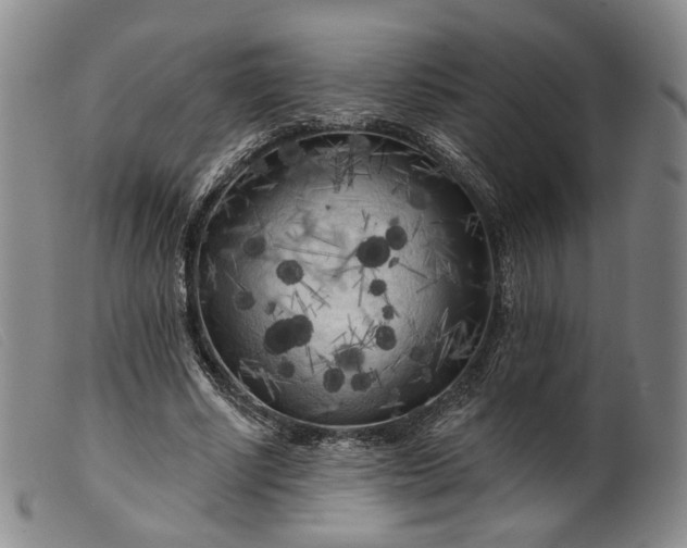 X0000099450634200805231742