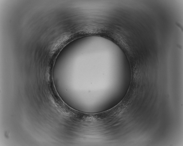 X0000099450635200805231742