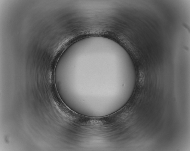 X0000099450636200805231742