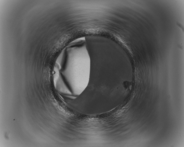 X0000099450637200805231742