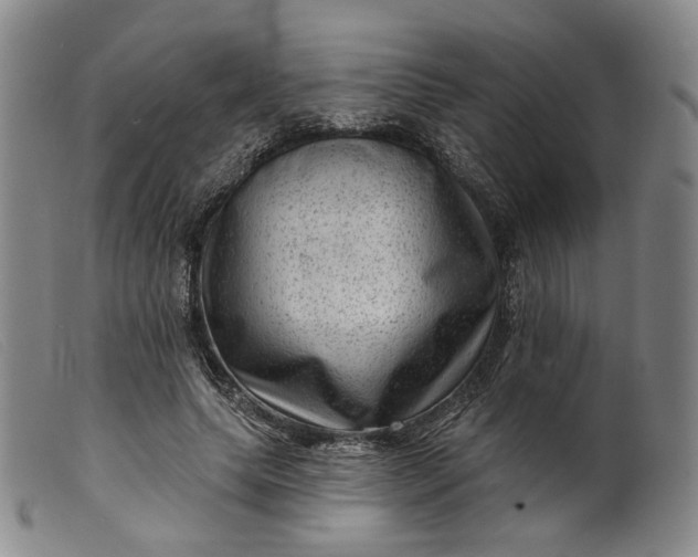 X0000099450639200805231742