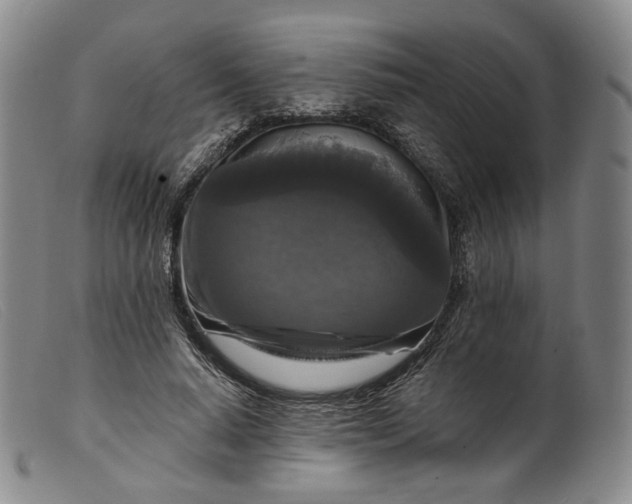 X0000099450640200805231742