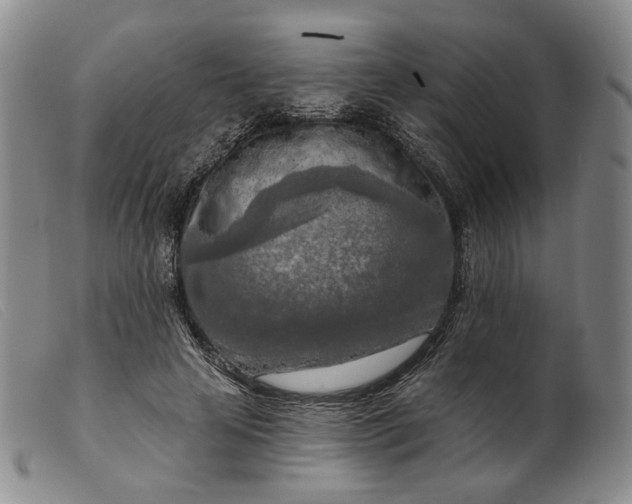 X0000099450641200805231742