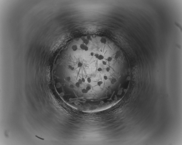 X0000099450642200805231742