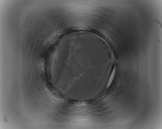 X0000099450643200805231742