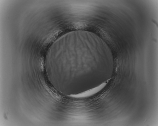 X0000099450644200805231742