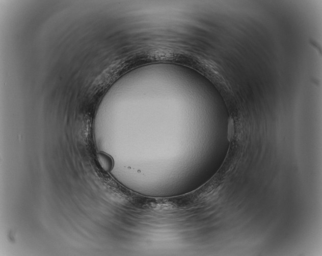 X0000099450645200805231742