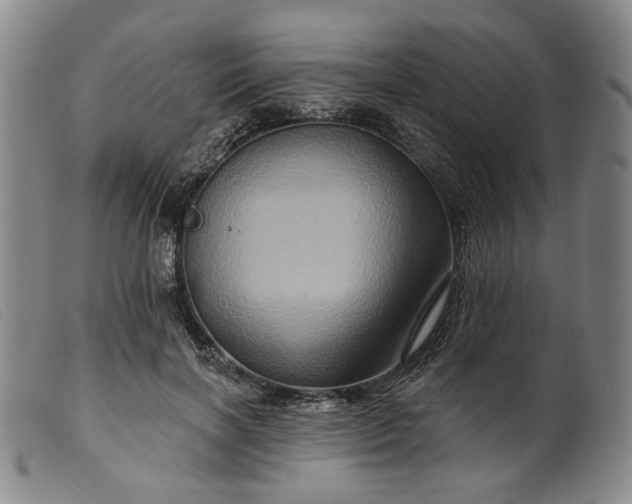 X0000099450646200805231742