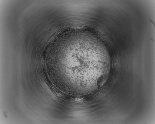 X0000099450647200805231742