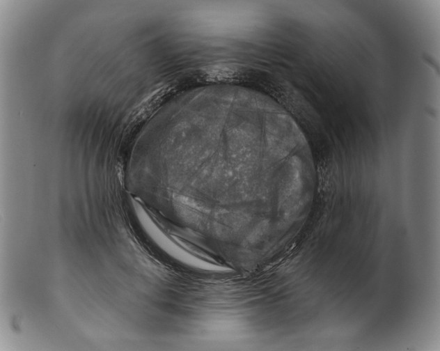 X0000099450648200805231742