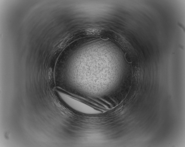 X0000099450649200805231742