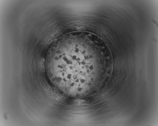 X0000099450650200805231742