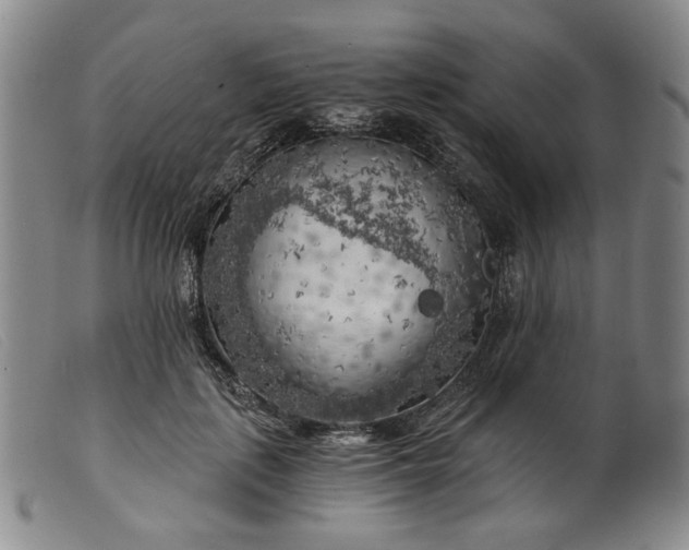 X0000099450651200805231742