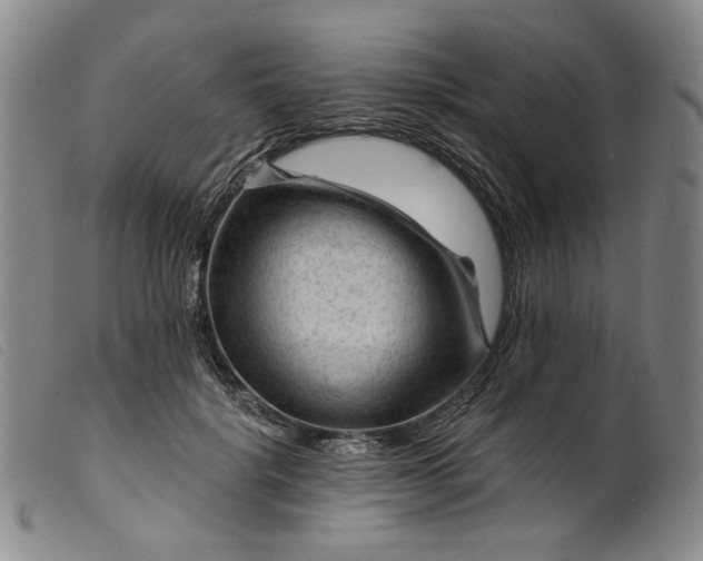 X0000099450652200805231742