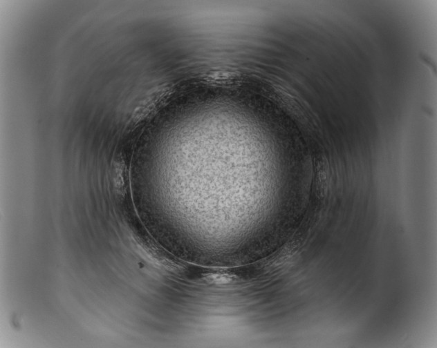 X0000099450654200805231743