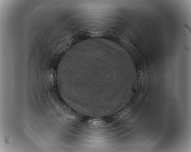 X0000099450655200805231743