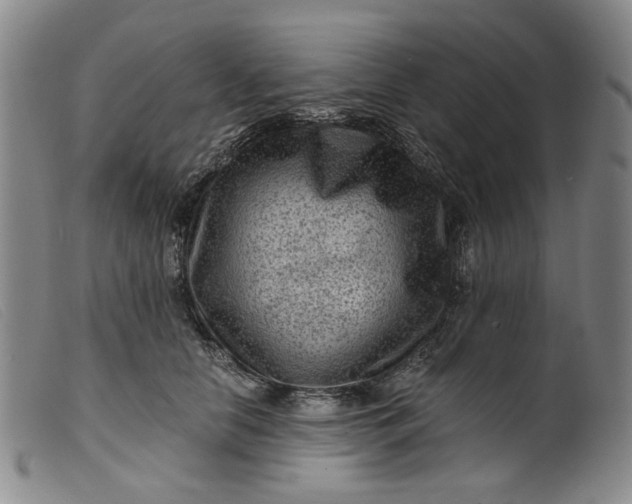 X0000099450658200805231743