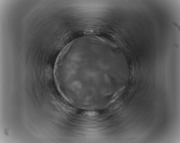 X0000099450659200805231743