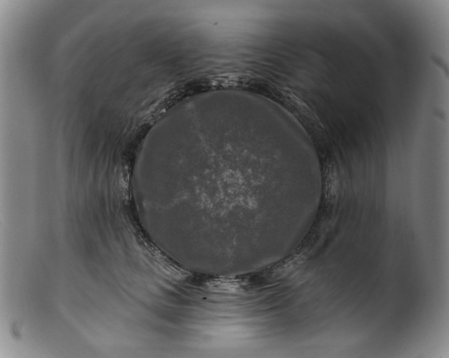 X0000099450661200805231743