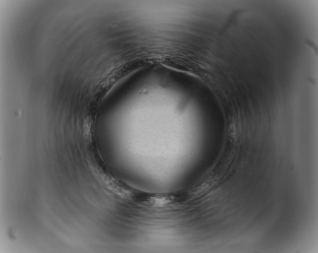 X0000099450662200805231743