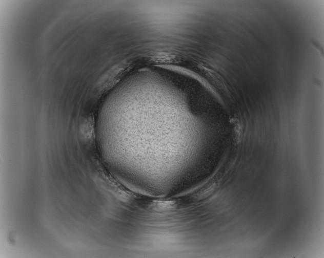 X0000099450665200805231743