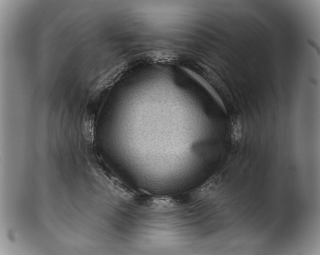 X0000099450666200805231743