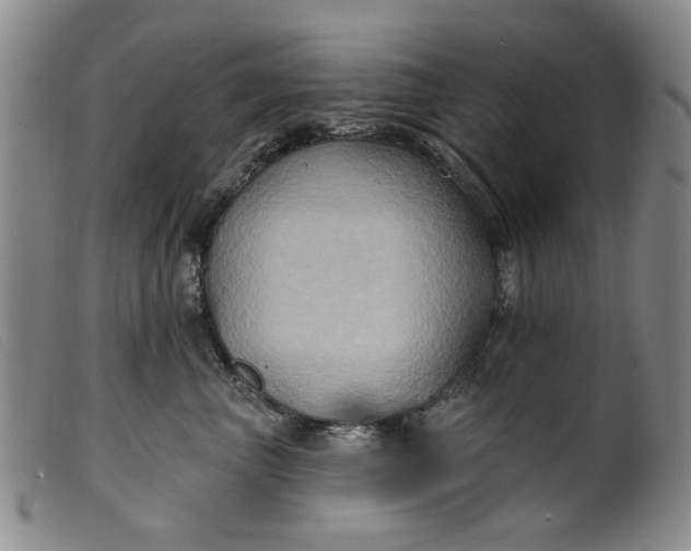 X0000099450667200805231743