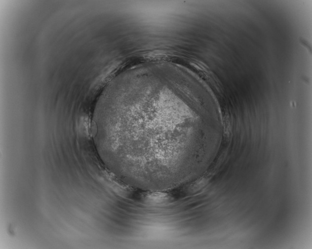 X0000099450669200805231743