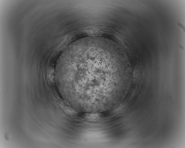 X0000099450671200805231743