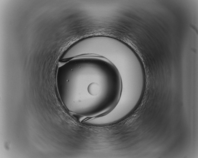 X0000099450673200805231742