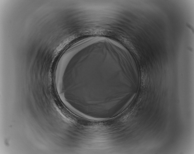 X0000099450674200805231742