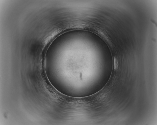 X0000099450675200805231742