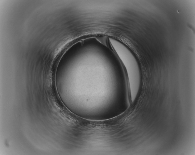 X0000099450676200805231742