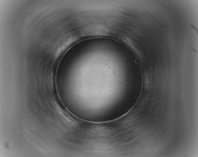 X0000099450677200805231742