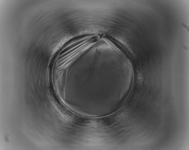 X0000099450678200805231742