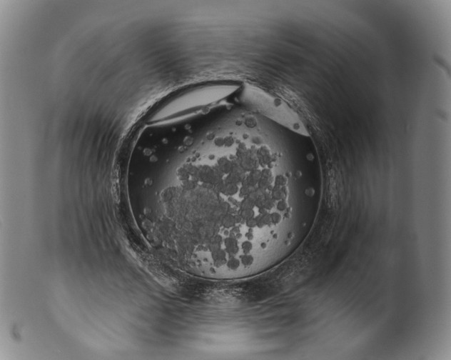 X0000099450680200805231742