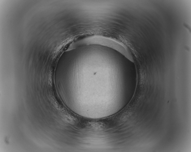 X0000099450681200805231742