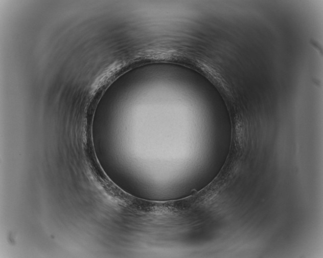 X0000099450682200805231742