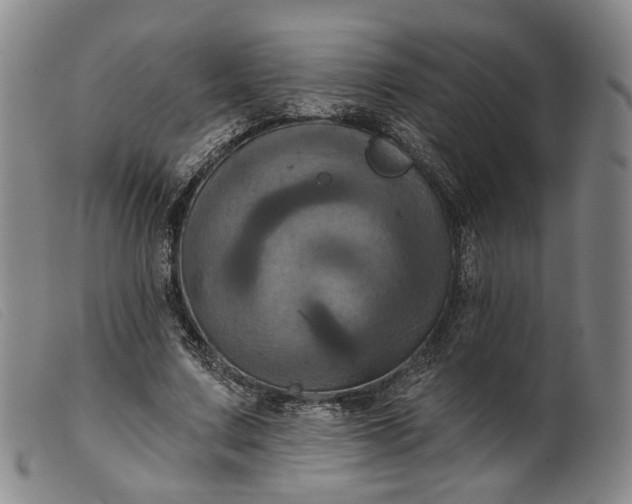 X0000099450683200805231742