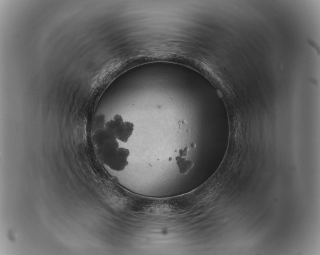 X0000099450685200805231742