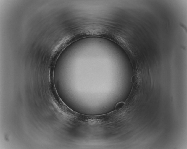 X0000099450686200805231742