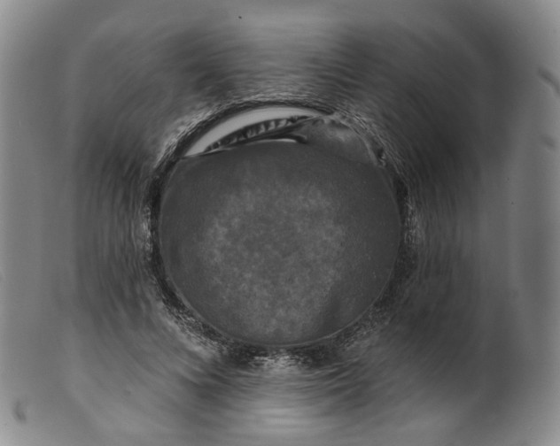 X0000099450688200805231742