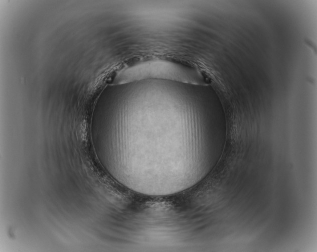 X0000099450689200805231742